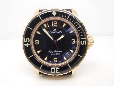 BLP031 watch cover