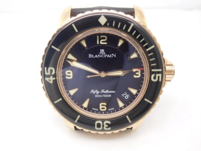 BLP048 watch cover