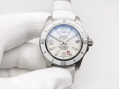 BSW0545 watch cover