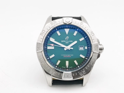 BSW0547 watch cover