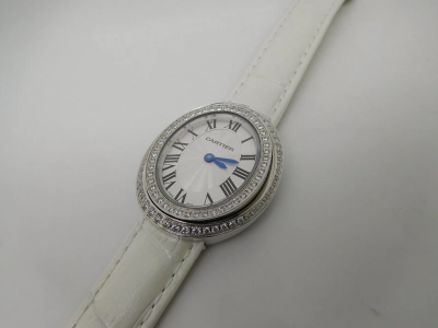 CAR0344B watch cover