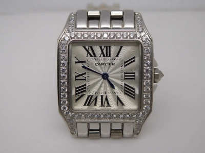 CAR0384C- watch cover