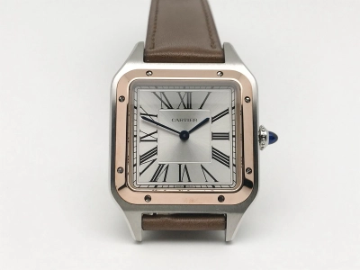 CAR0538 watch cover