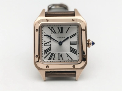CAR0541 watch cover