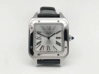 CAR0542 watch cover
