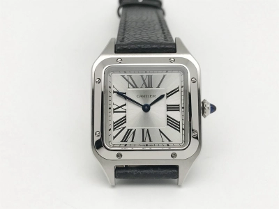 CAR0544 watch cover