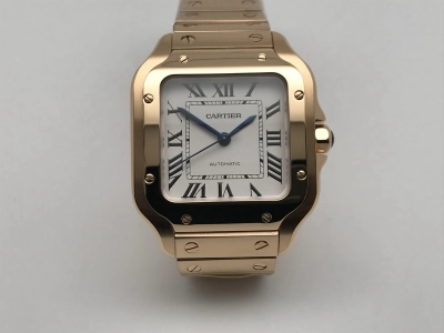 CAR0556 watch cover
