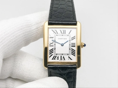 CAR0587A watch cover