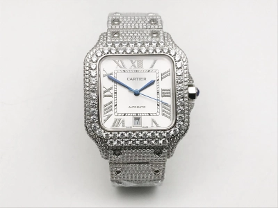 CAR0589A watch cover