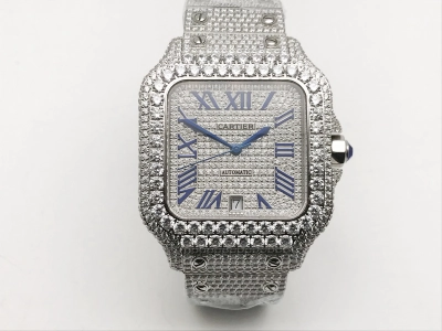 CAR0589B watch cover