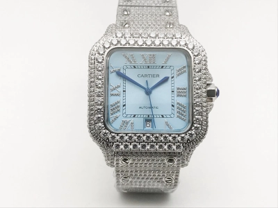 CAR0589E watch cover