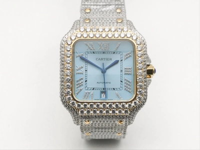 CAR0591B watch cover