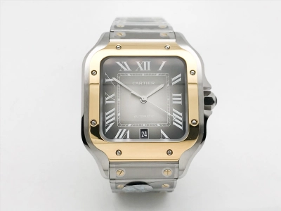 CAR0596 watch cover