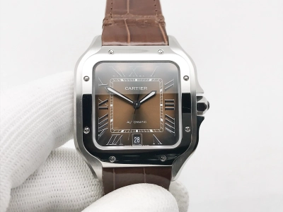 CAR0599C watch cover
