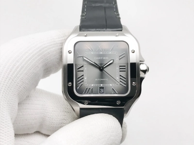CAR0599D watch cover