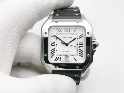 CAR0599E watch cover