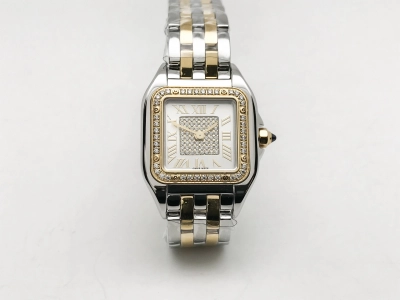 CAR0604 watch cover