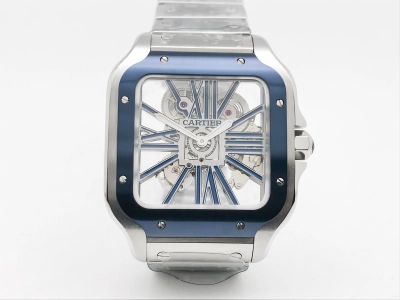 CAR0633 watch cover