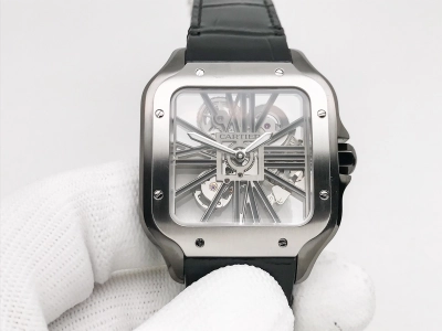 CAR0638 watch cover