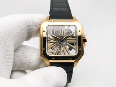 CAR0641E watch cover