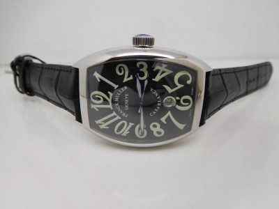 FM133 watch cover