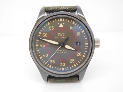 IWC0328 watch cover