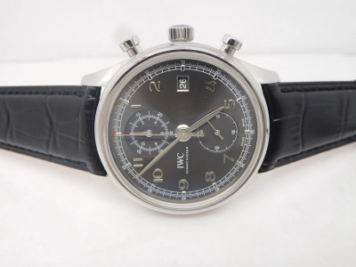 IWC0399 watch cover