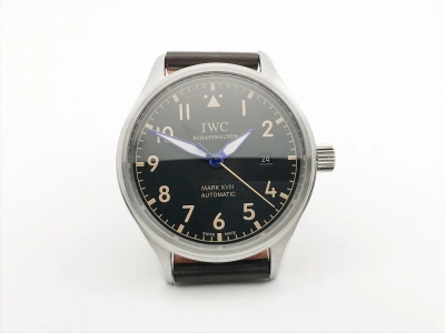 IWC0558F watch cover