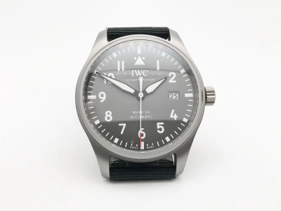IWC0561 watch cover