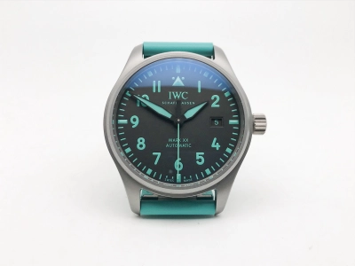 IWC0564 watch cover