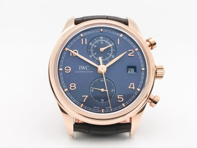 IWC0569 watch cover
