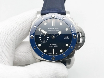 PN1289NY watch cover