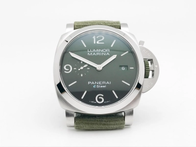 PN1356VNY watch cover