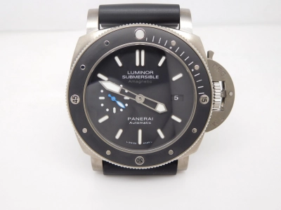 PN1389RU1 watch cover