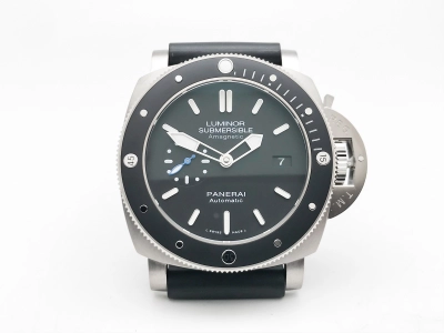 PN1389VRU watch cover
