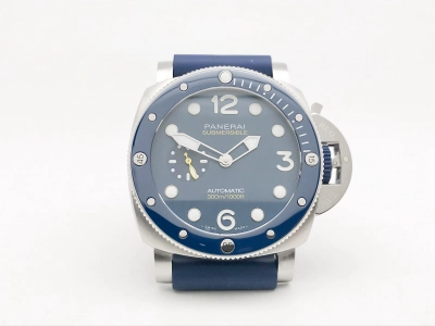 PN1676VRU watch cover