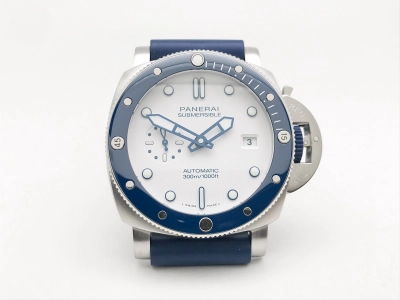 PN1696VRU watch cover