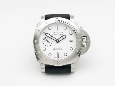 PN2223VRU watch cover