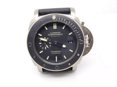 PN389ORU2 watch cover