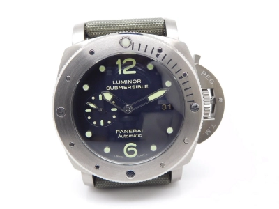PN571PLE1 watch cover