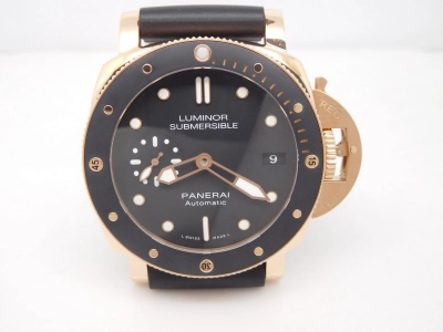 PN684RU1- watch cover