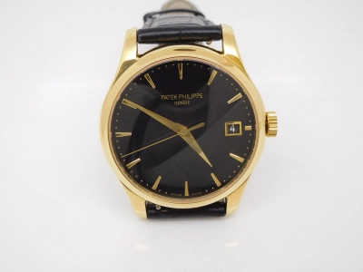 PP0198C watch cover
