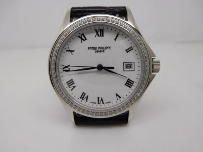 PP0240D- watch cover
