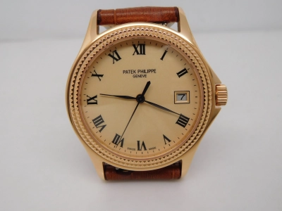 PP0241B- watch cover