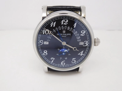 PP0246A- watch cover