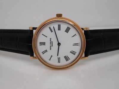 PP0256 watch cover