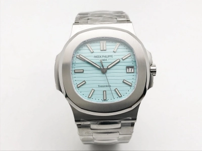PP0490 watch cover