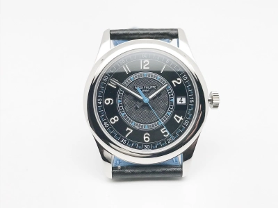 PP0496C watch cover