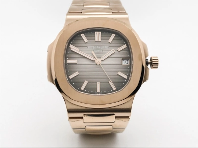 PP0499 watch cover