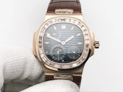 PP0509 watch cover